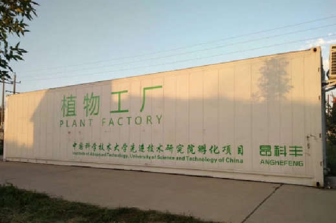 Container plant factory