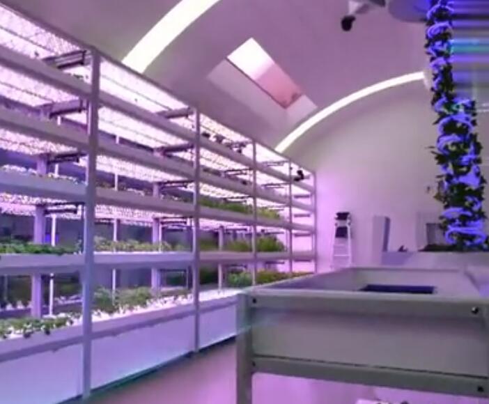 甘肃金昌太空舱植物工厂