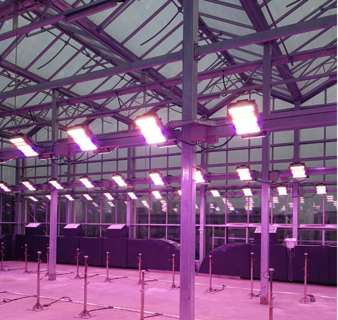 混合光型植物工厂