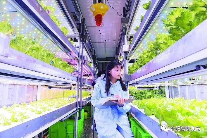 Plant factory solutions