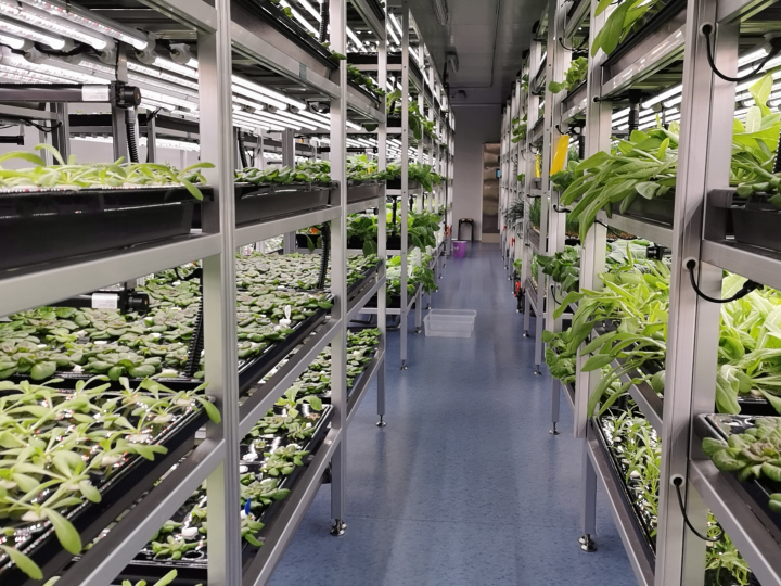 能源+植物工厂--海拉尔电厂