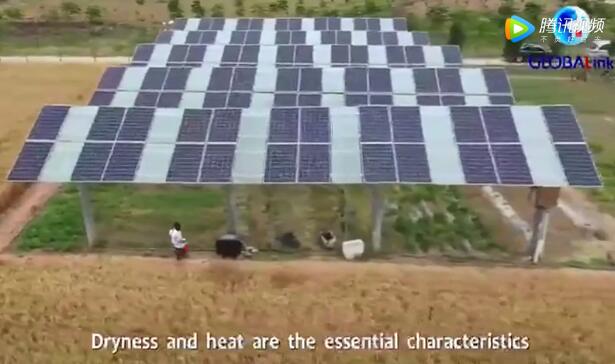 overseas students get agricultural knoe-how in china  （xinhua news )