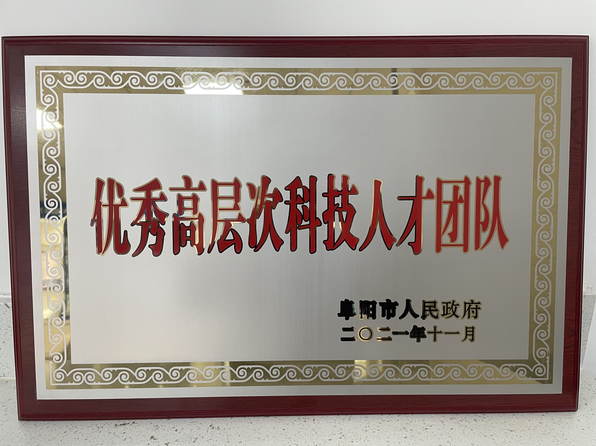 优秀高层次科技人才团队（2021年）