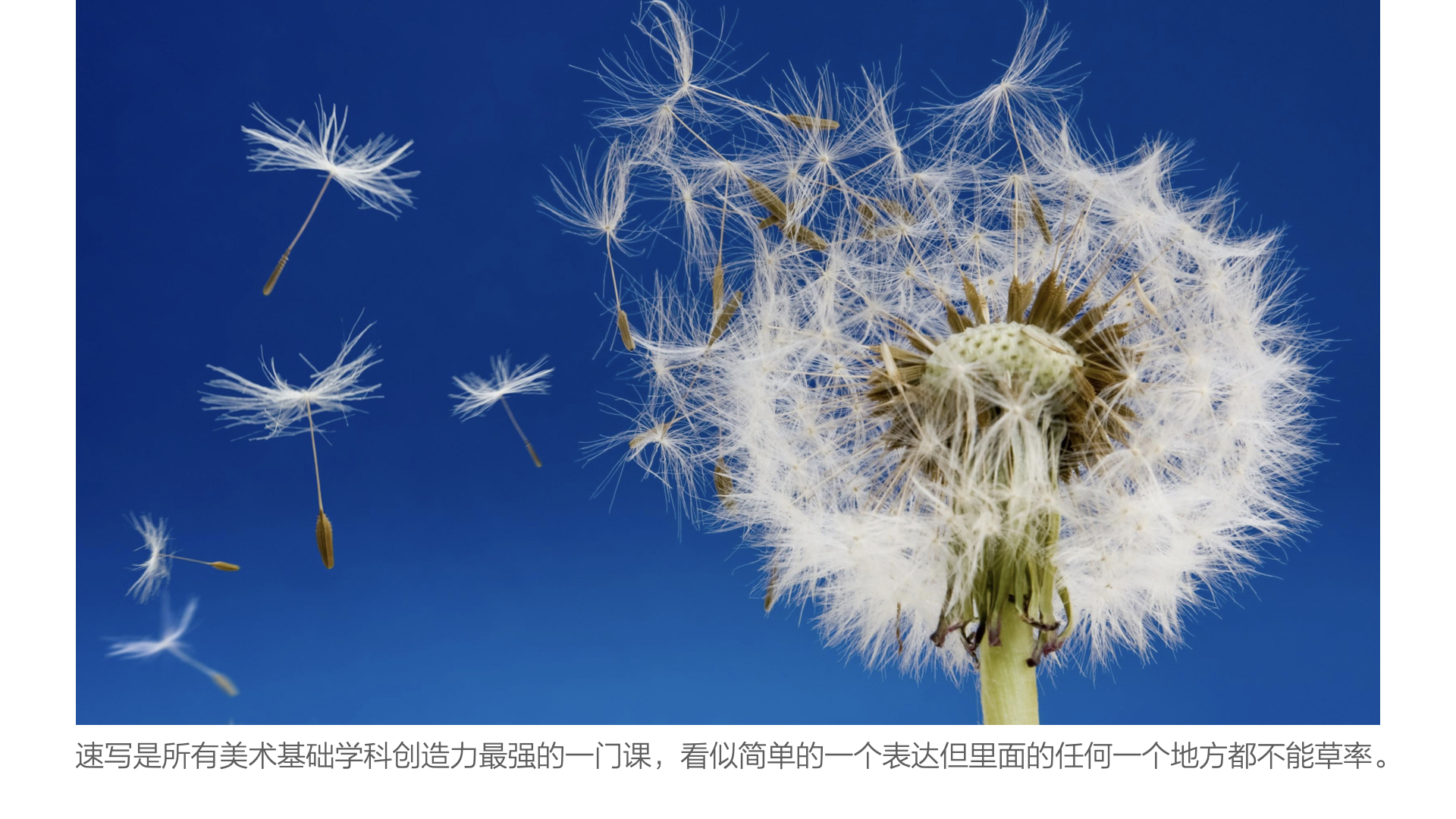 网上课堂-速写基础