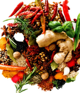 天然色素 Natural Pigment