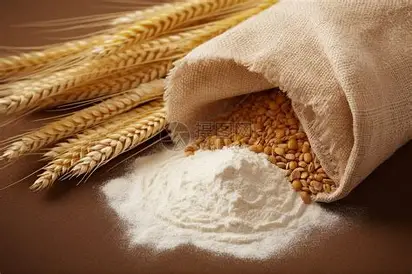 小麦淀粉 Wheat Starch