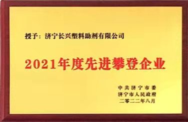 2021年度先进攀登企业