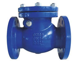 英标BS5153旋启式止回阀