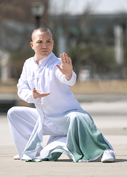 <span>传统养生和功法专业委员会：权龙</span>