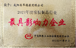 公司荣誉与资质