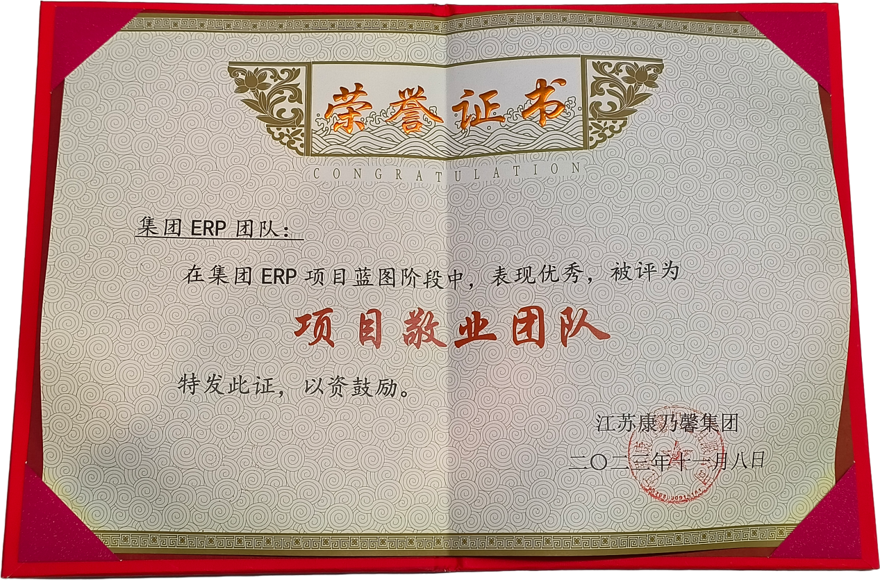 2023年集团ERP团队项目敬业团队
