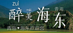 海东新闻网