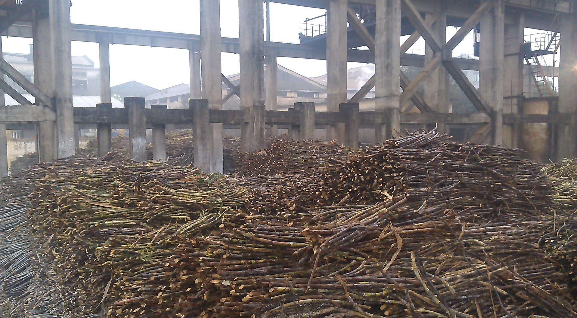 <span>渣糟類行業(yè)</span>