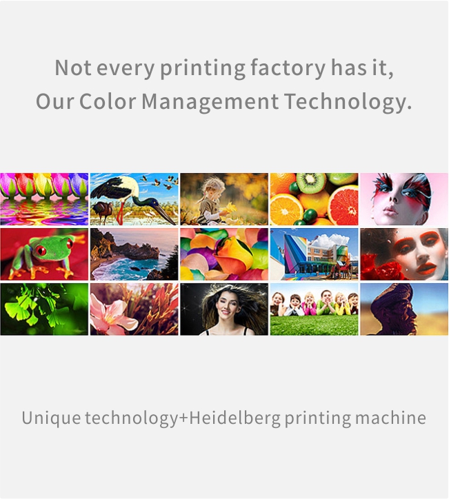 product box manufacturer_customized shipping boxes_customized pizza boxes
