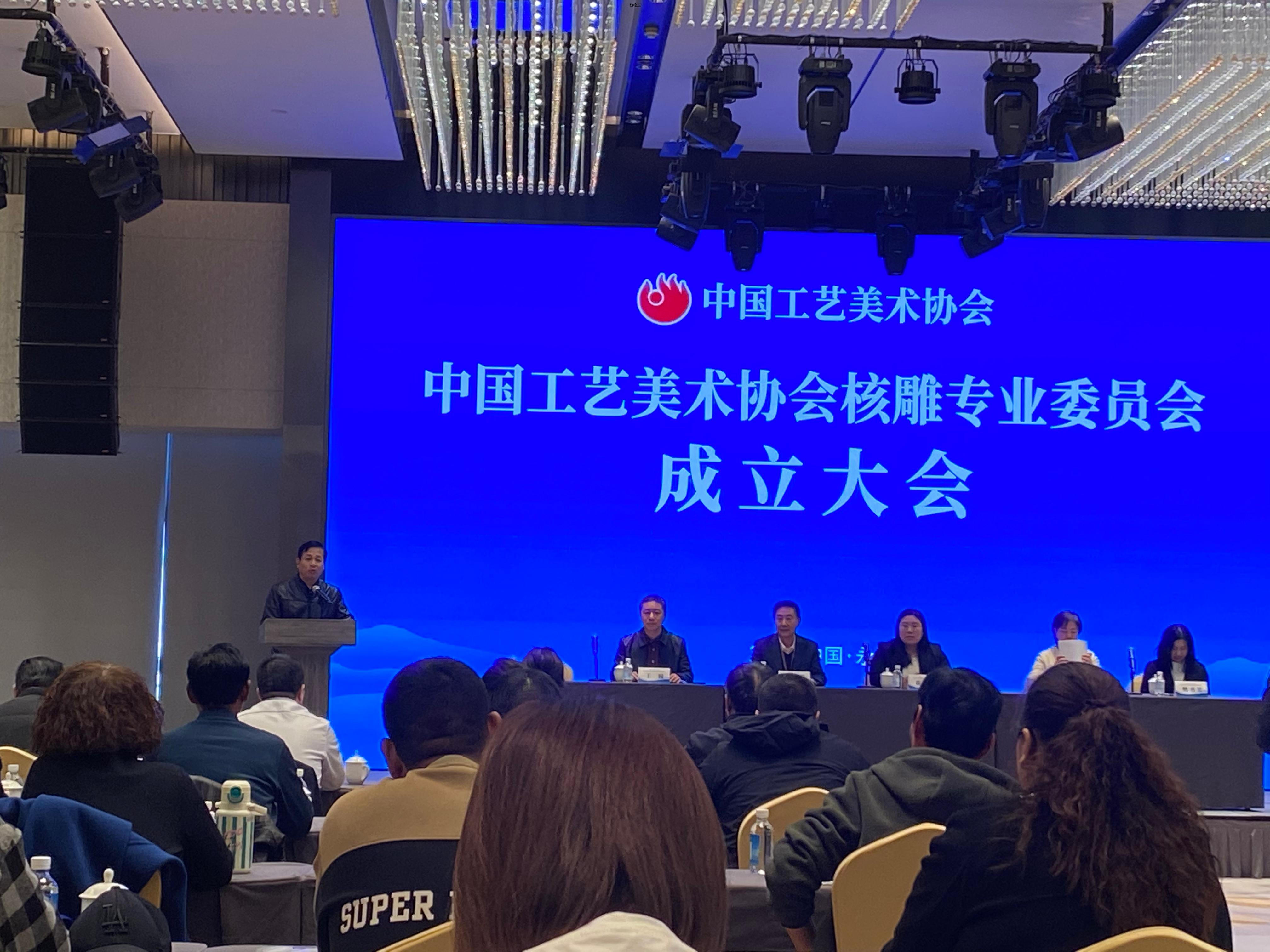  中国工艺美术协会核雕专业委员会的成立对核雕行业的发展有哪些积极意义？