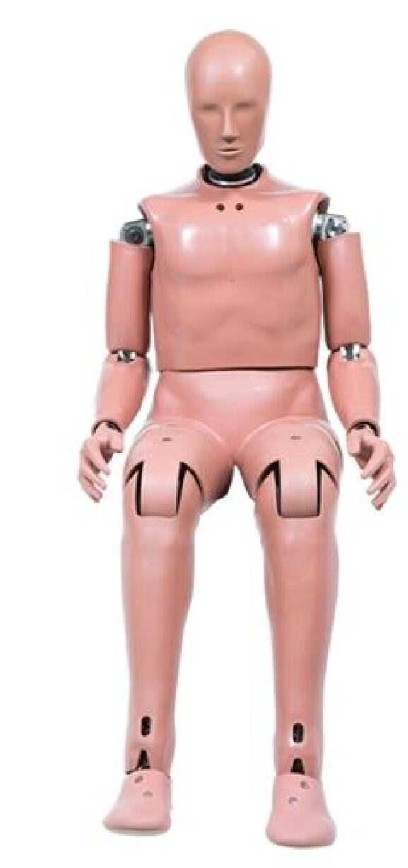 汽车 碰撞 测试假人 ( 型号：HIII50%)