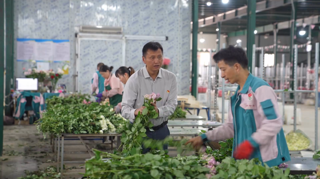 张良：种好一朵花 带富一群人