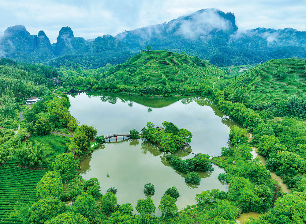 一叶筑基兴乡村