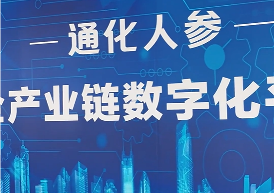 长白山人参有了“数字管家”