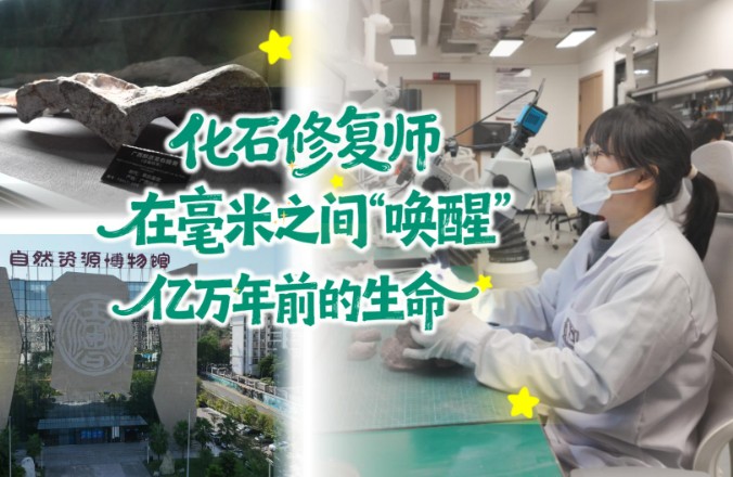 化石修复师：在毫米之间“唤醒”亿万年前的生命