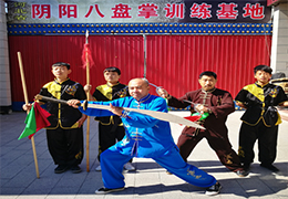 太极阴阳八盘掌