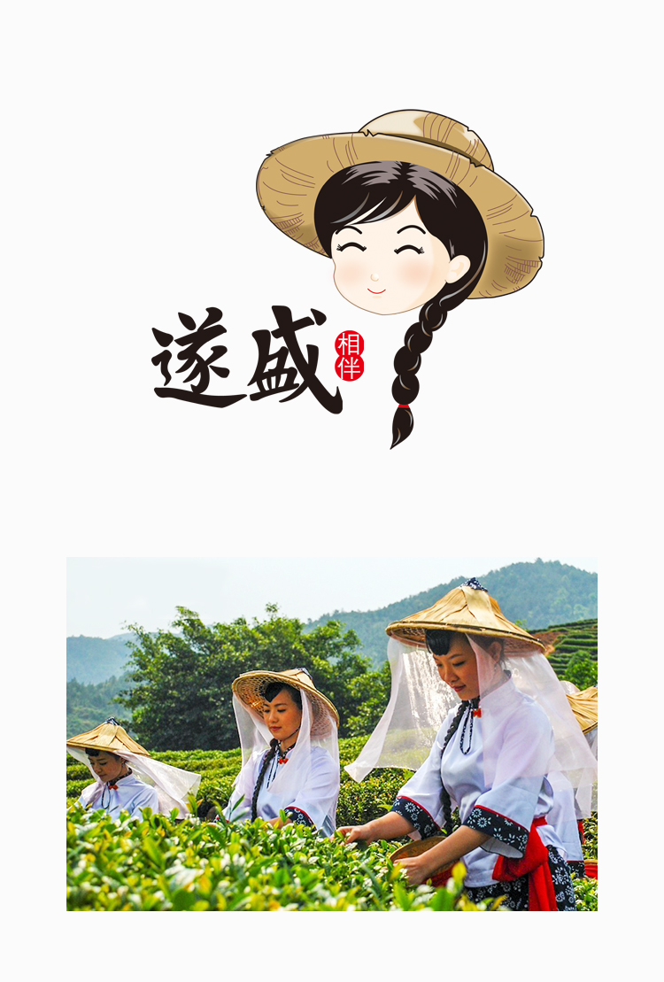 遂盛品牌整合设计|杭州包装设计,浙江包装设计,品牌策划设计,标志设计,logo设计,网页网站设计