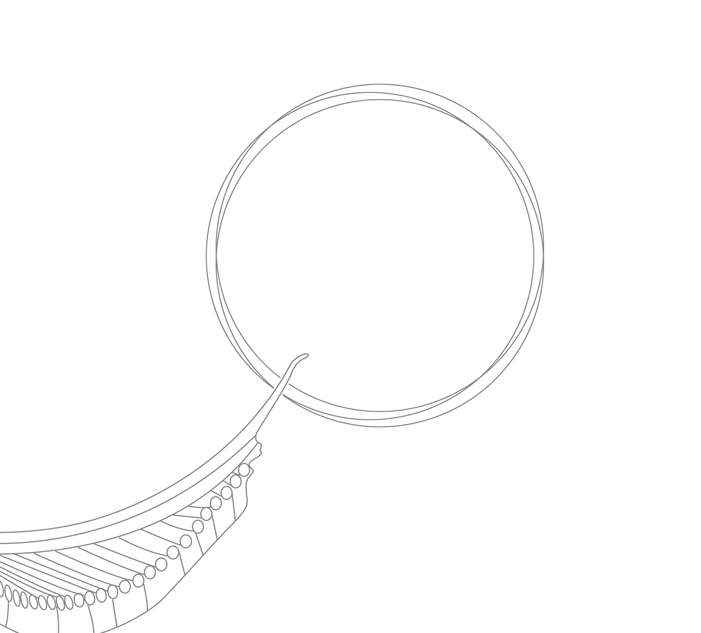 索菲亚中秋月饼包装设计/杭州包装设计/杭州圣海包装艺术设计有限公司