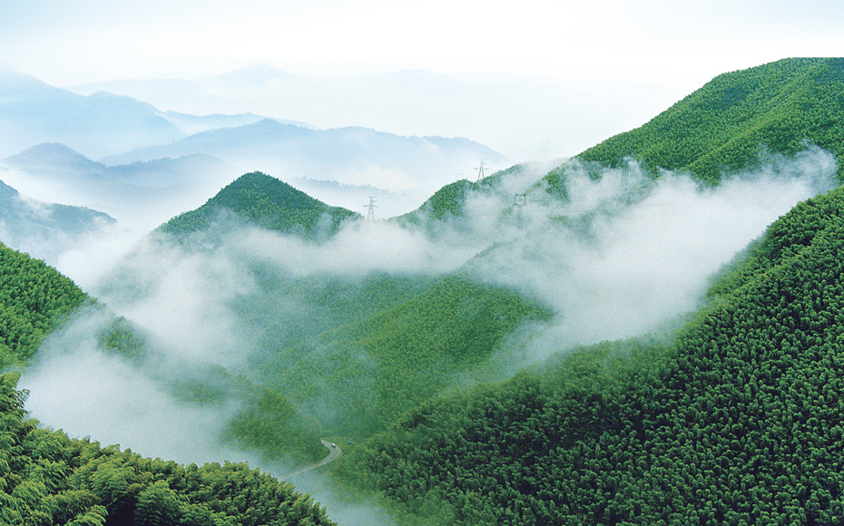 两山农副产品特产（绿水千山就是金山银山）品牌标志logo设计|中国竹乡安吉|杭州包装设计有限公司