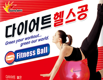 Touareg Sports·健身球