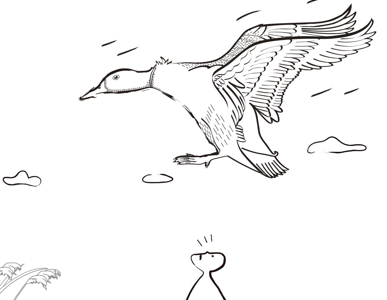 Wild duck·鸭尚优野鸭