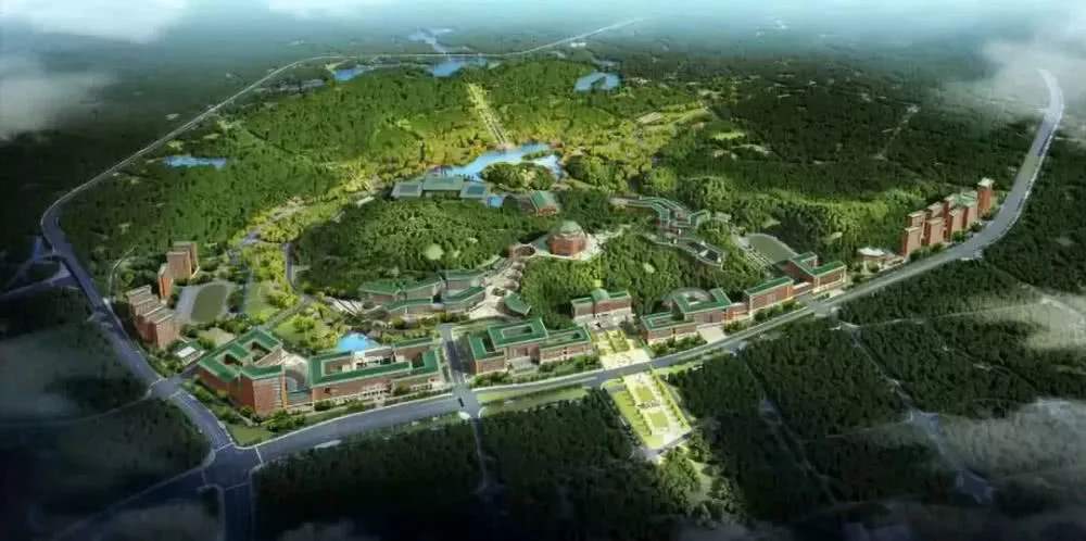 中山大学附属第五医院绿地停车场