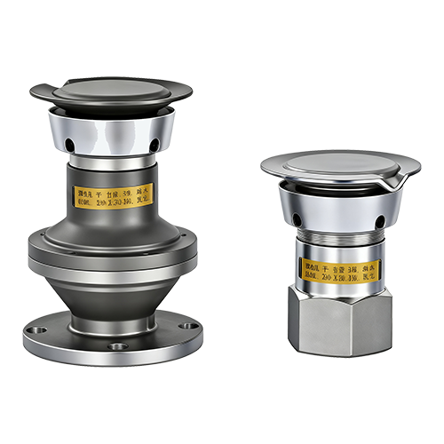 真空压力阀法兰式/内螺纹式 DN40 DN50