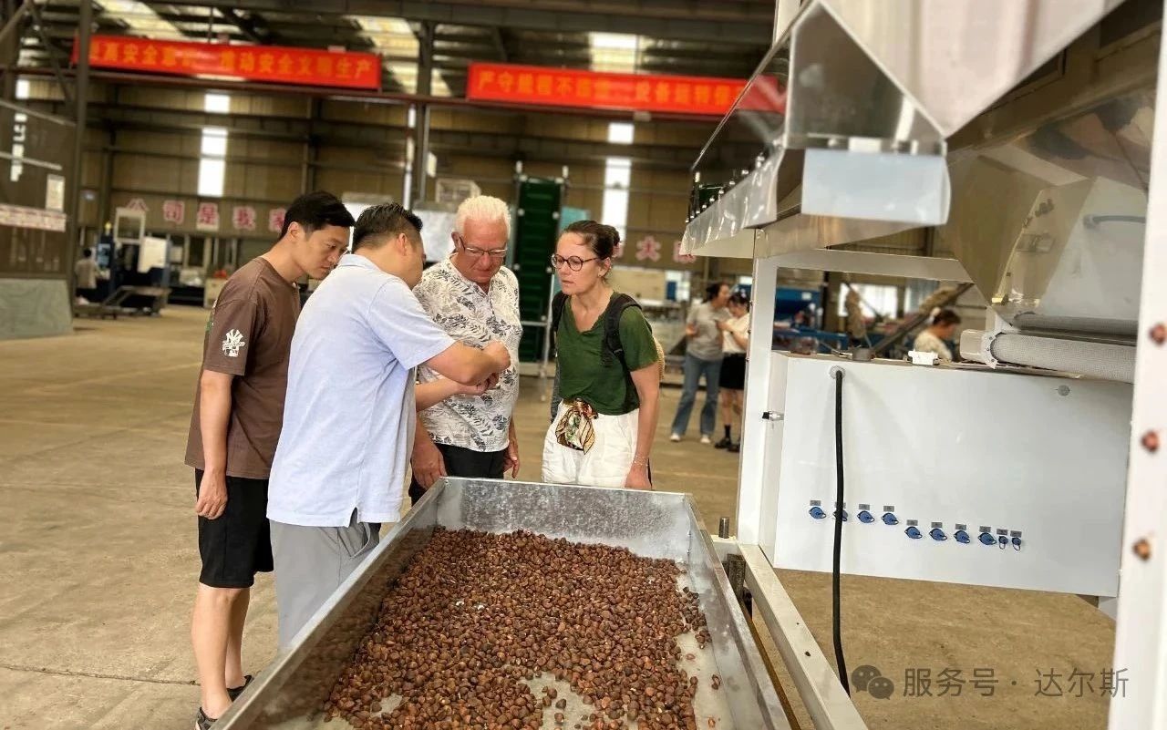 茶果加工生产线圆满成功