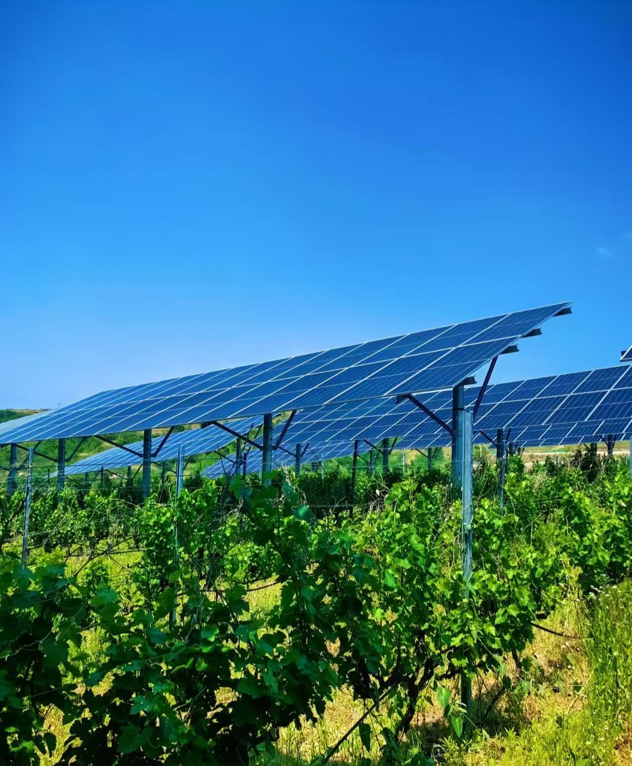 Monocrystalline Silicon PV modules