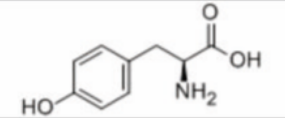 L-Tyrosine 60-18-4