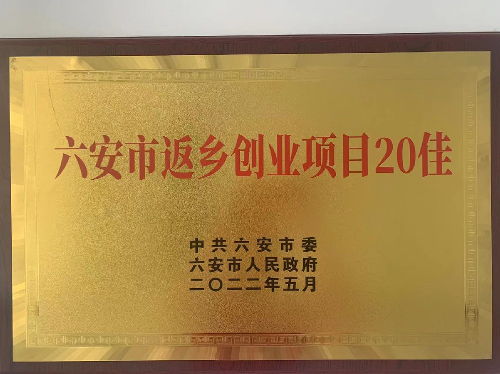 六安市返乡创业项目20佳