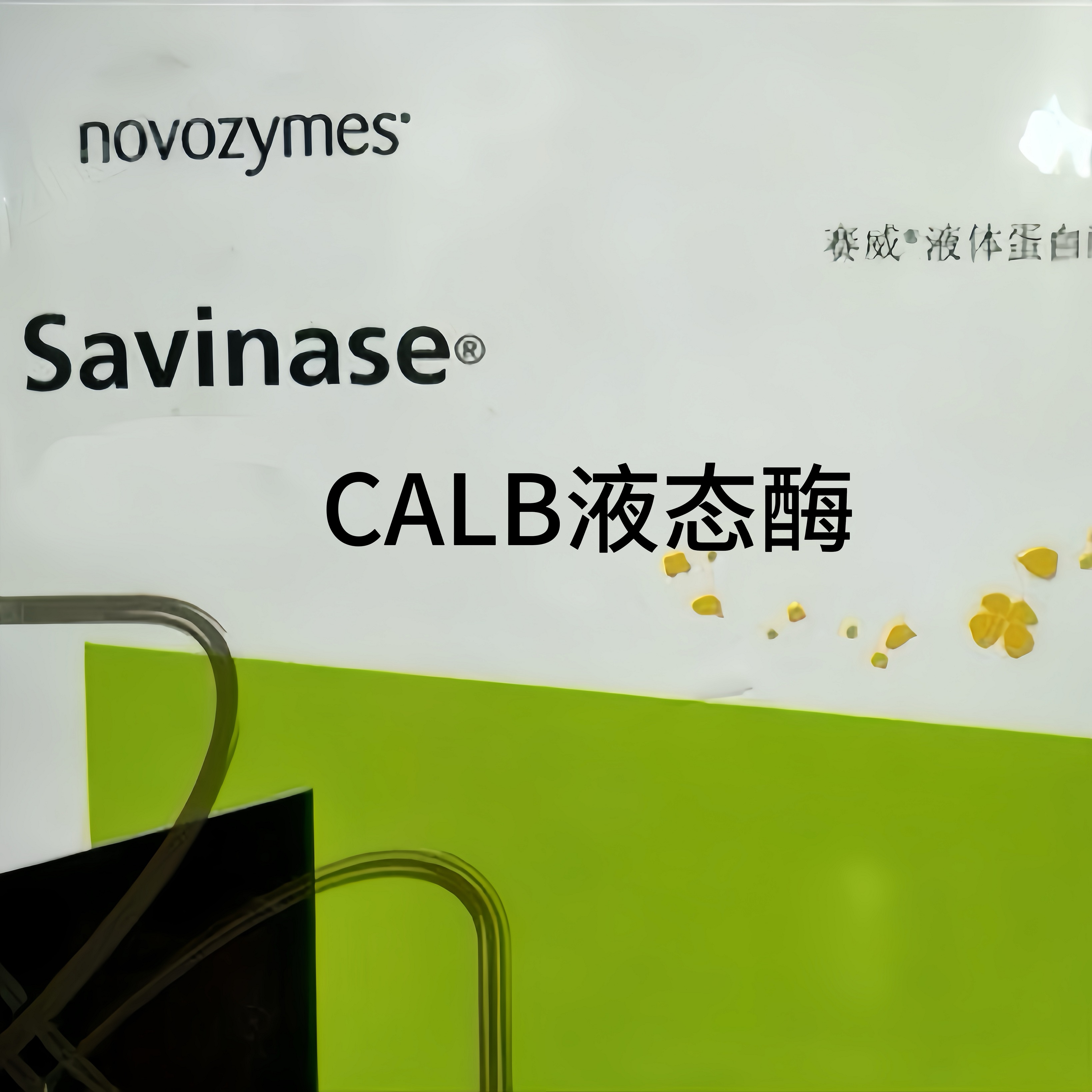 诺维信 Novozyme Lipozyme CALB L 脂肪酶