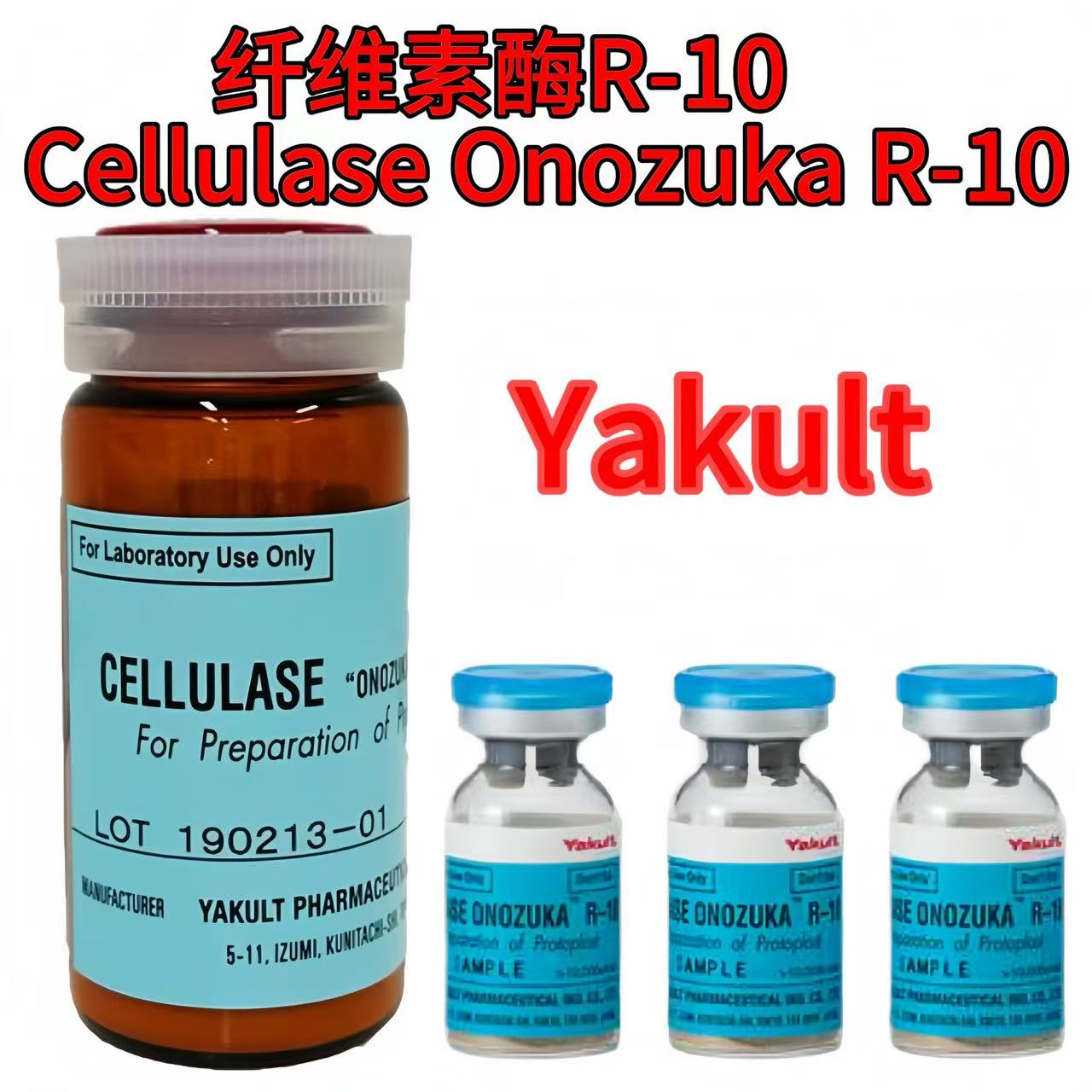yakult 纤维素酶R-10 Cellulase Onozuka R-10