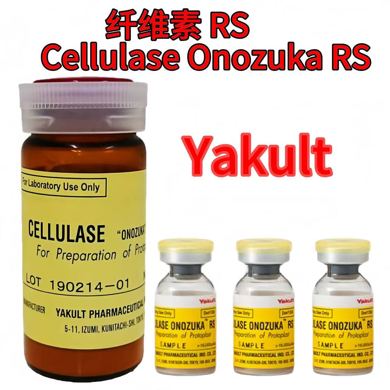 yakult 纤维素酶 RS Cellulase Onozuka RS