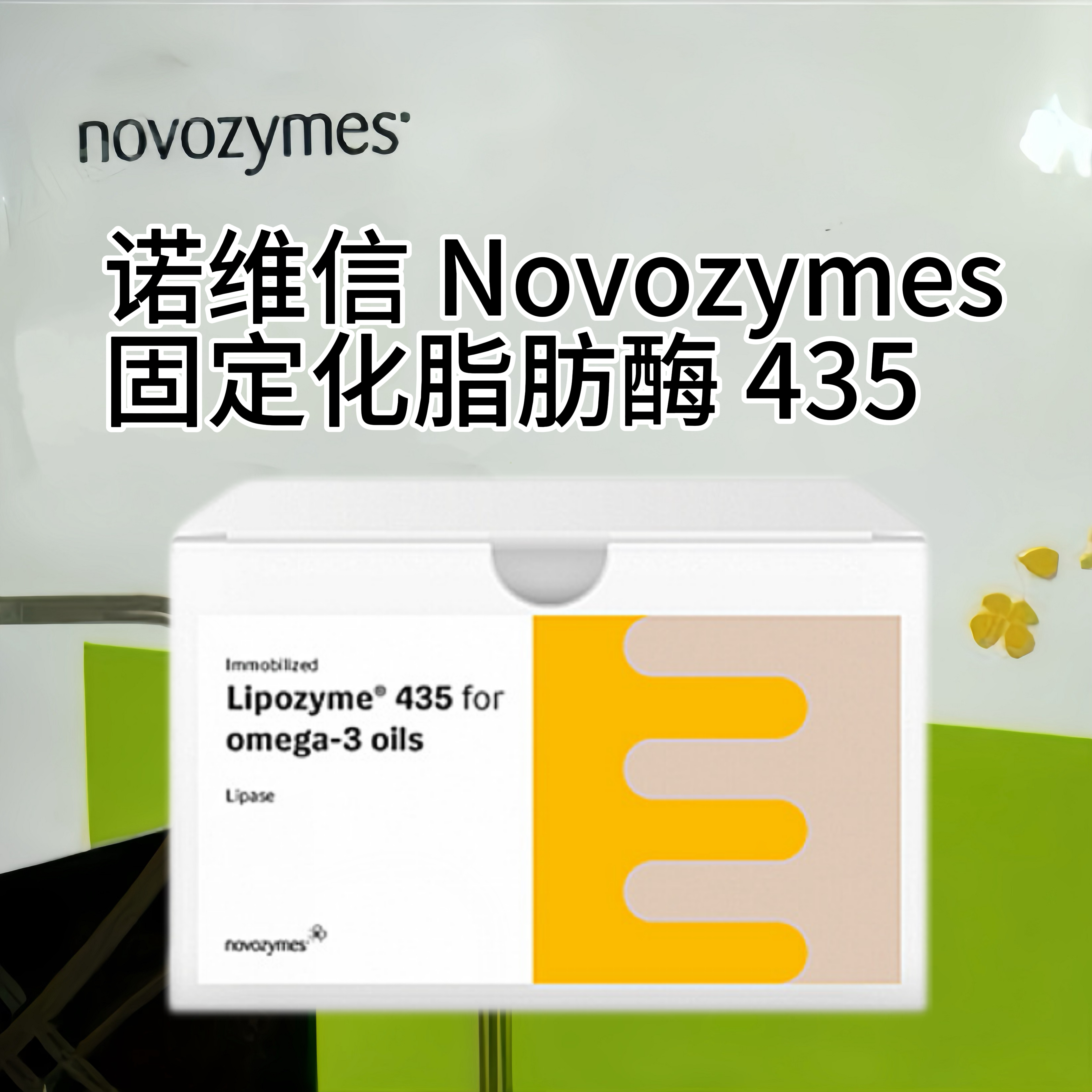 诺维信Novozym 435 固定化脂肪酶