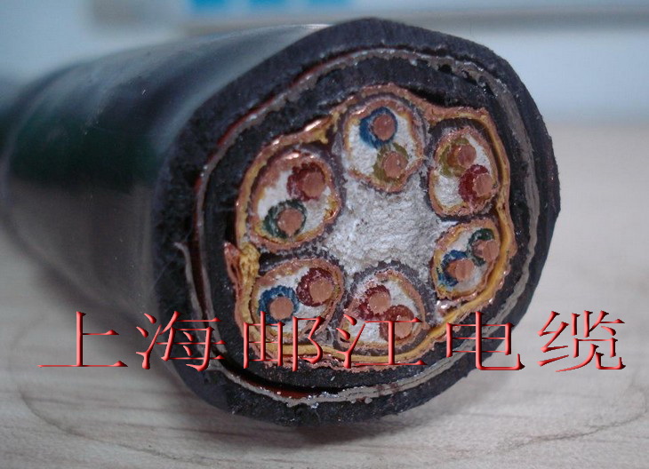 钢带铠装计算机通讯电缆 DJYPVP22  可根据要求定制