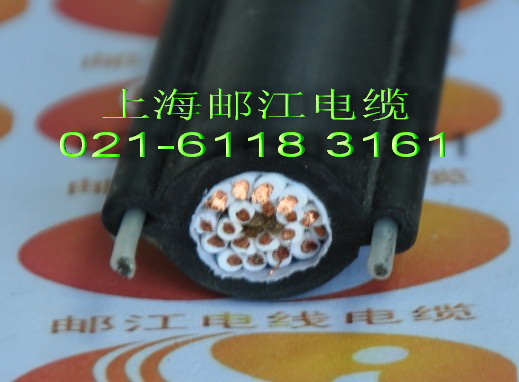 自承式行车葫芦电缆  可根据要求定制