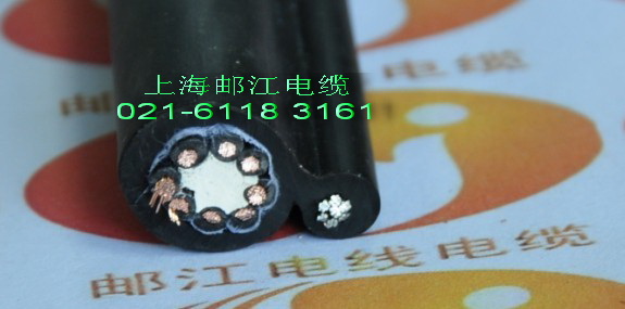 电动葫芦手柄控制电缆  可根据要求定制