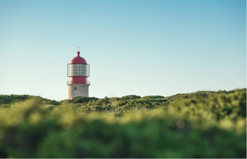 Smart Scenic Spot Solution