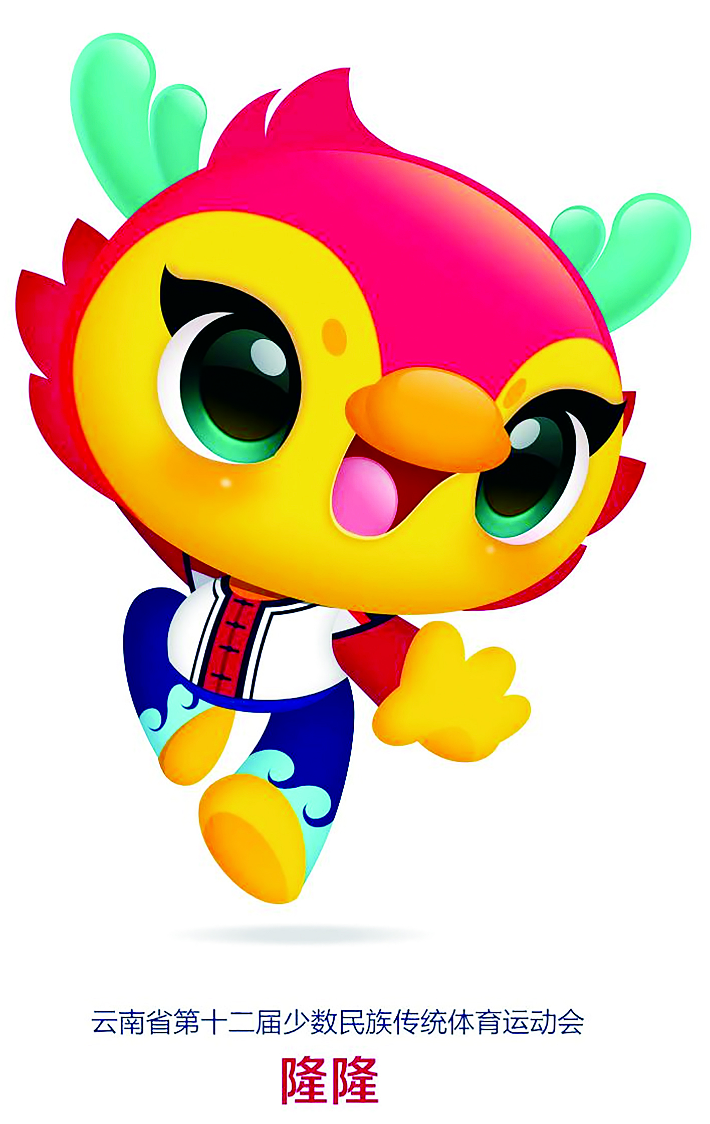云南省第十二届少数民族传统体育运动会
