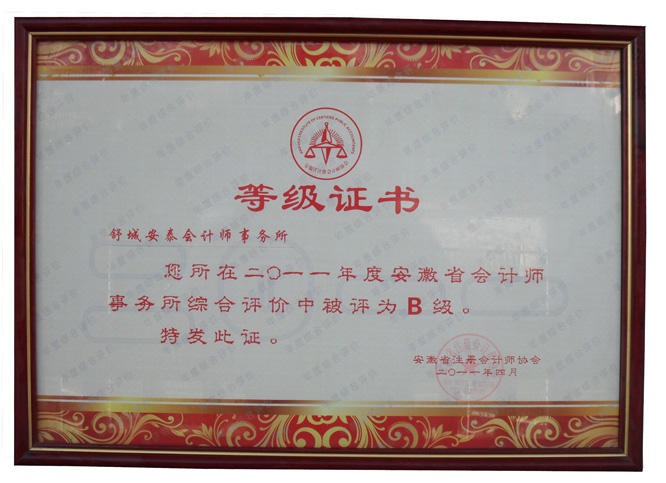 综合评价B级