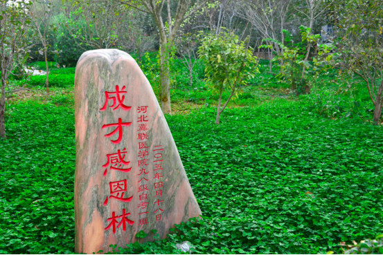 校园风景