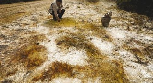 农业部土壤防治意见实施，进一步加大对环保问题的关注