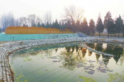 水厂控制专家简析生活用水水中杂质的处理方法
