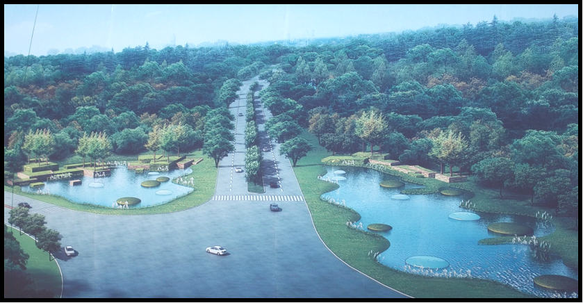 杭州湾庵东入口区绿化工程